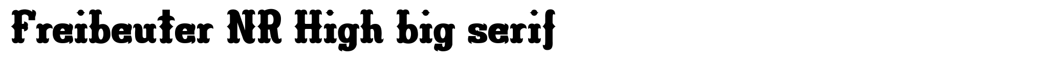Freibeuter NR High big serif image